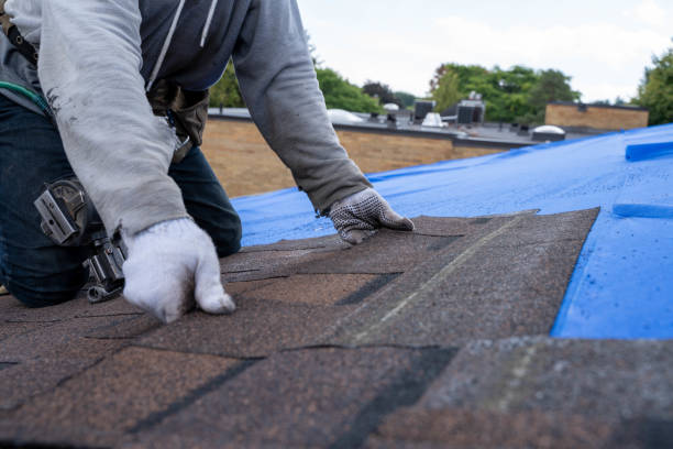 Best Metal Roofing Contractor  in Miami Gardens, FL